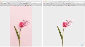 Preview-Remove-Background-From-Image-on-Mac