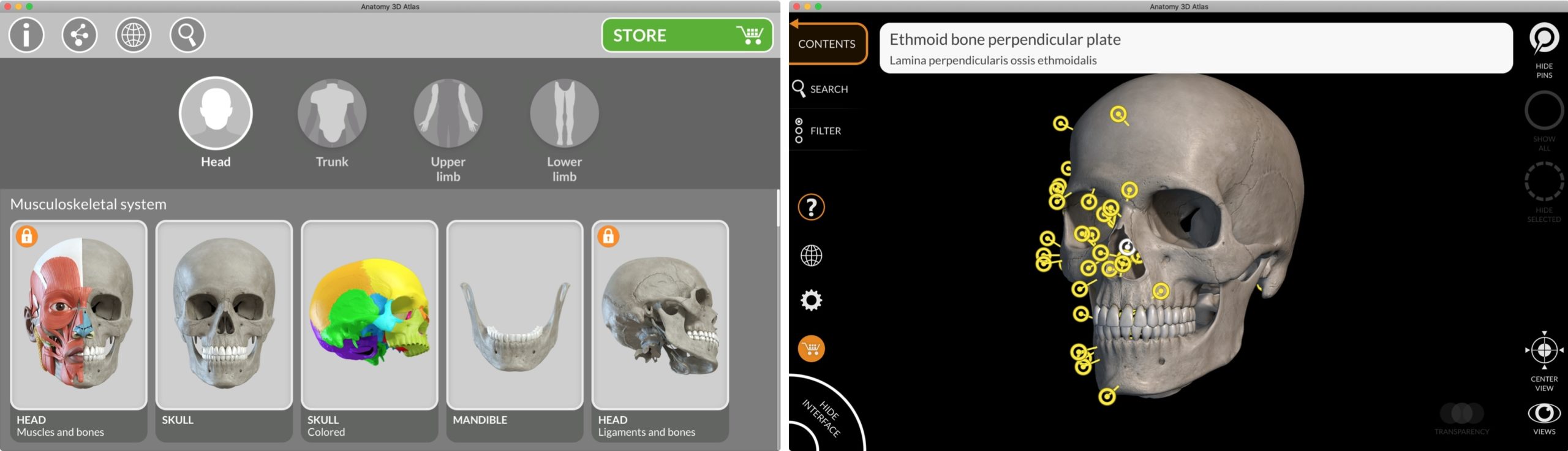 Anatomy 3D Atlas Mac App